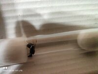 IMG_20220409_001221.jpg