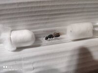 IMG_20220408_005318.jpg