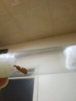 IMG_20220409_033653.jpg