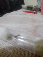 IMG_20220409_033626.jpg