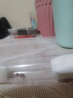 IMG_20220409_033619.jpg