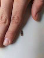 IMG-20220409-WA0006.jpg