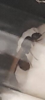20220415_183325.jpg