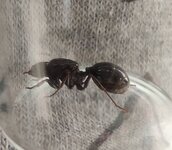 IMG_20220416_190317.jpg