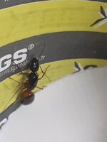 20220422_010434.jpg