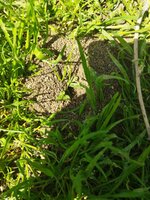 IMG_20220425_111038.jpg