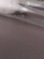 IMG_20220426_173339.jpg