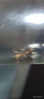 IMG_20220426_233116.jpg