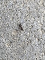 EF3F5364-AB47-4FCB-910D-8FD4FD58B7D6.jpeg