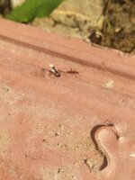 IMG_20220504_160239.jpg