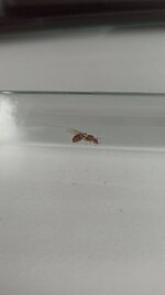IMG_20220504_172030.jpg