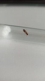 IMG_20220504_172011.jpg