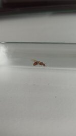 IMG_20220504_172030.jpg