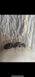 138672AF-2F0C-4E40-9C93-253E8806DDC8.png