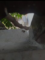 IMG_20220514_204131.jpg