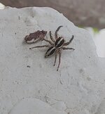 IMG_20220514_203223.jpg
