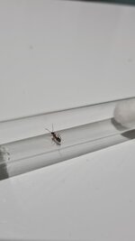 20220514_205057.jpg