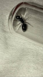 IMG_4788.jpeg