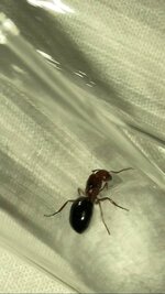IMG_4792.jpeg