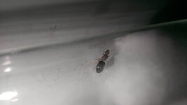 IMG_20220514_222057.jpg