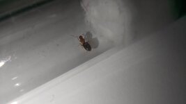 IMG_20220514_220934.jpg