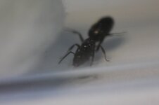 IMG-20220518-WA0016.jpg