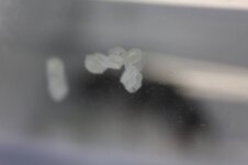 IMG-20220518-WA0010.jpg