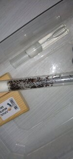 IMG_20220519_180204.jpg