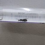 IMG-20220524-WA0012.jpg