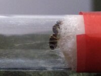 IMG_20220525_122321.jpg