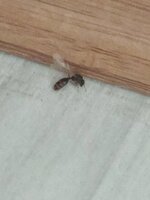 IMG_20220606_103503.jpg