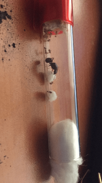 resim_2022-06-10_141326509.png