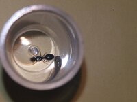 20220612_183804.jpg