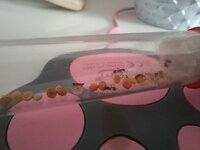 20220608_132050.jpg