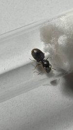 IMG_3464.JPG