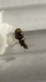 IMG_3463.JPG