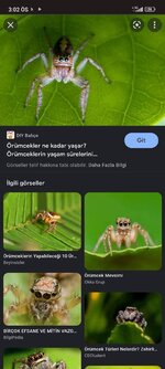 Screenshot_2022-06-16-15-02-13-950_com.android.chrome.jpg