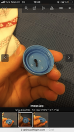 C53C5E62-1372-44C8-B0B7-67245515AE6D.png