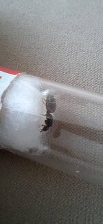 20220620_113310.jpg