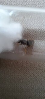 20220620_113245.jpg