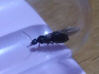 IMG_20220621_221037.jpg