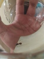 IMG_20220623_150926.jpg