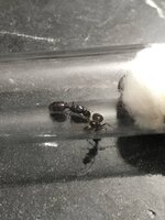 1546800E-6C46-4153-AB5E-019E41F5CF24.jpeg