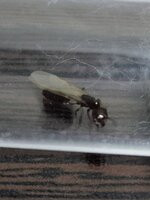 20220624_011732.jpg