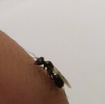 20220630_214054.jpg