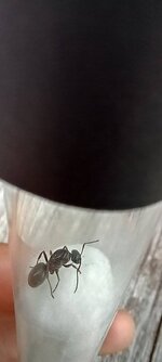 20220702_073456.jpg