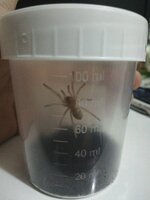 IMG-20220628-WA0000.jpeg