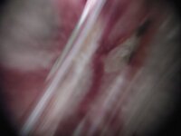 20220703_214436.jpg