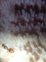 IMG_20220707_142327.jpg