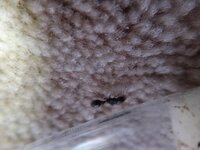 IMG_20220705_174555.jpg